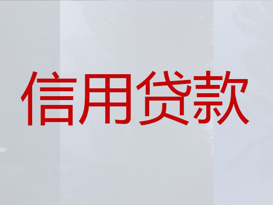 兴化贷款公司-银行信用贷款